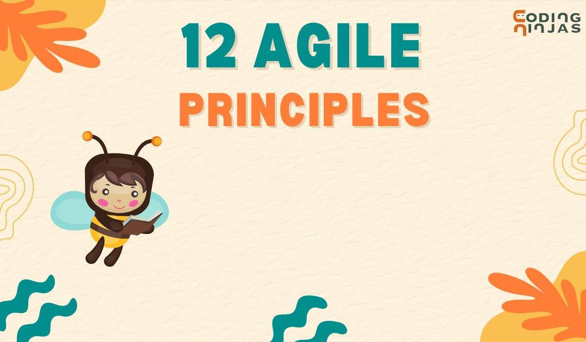 12 Agile Principles - Coding Ninjas