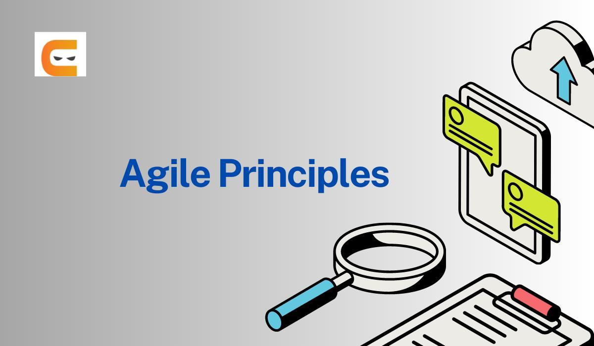 Understanding Agile Values And Principles - Coding Ninjas