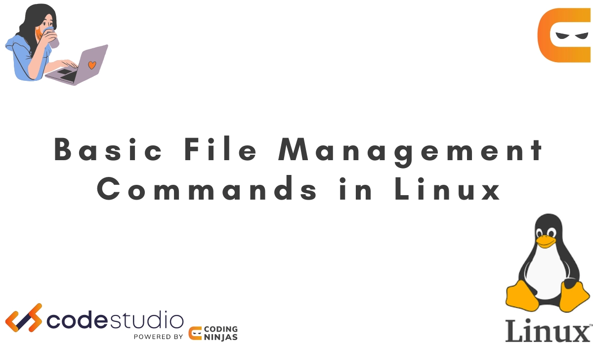 file-management-commands-coding-ninjas