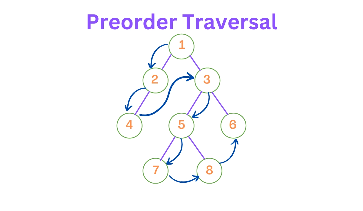Binary Tree In Javascript - Coding Ninjas