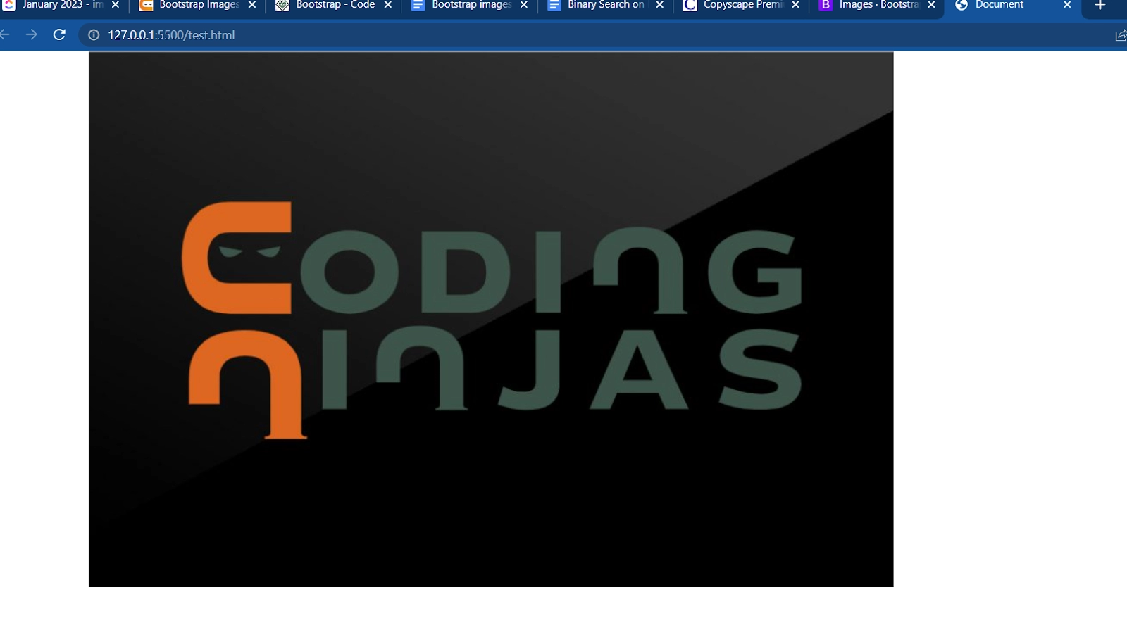 Bootstrap Images And Code - Coding Ninjas