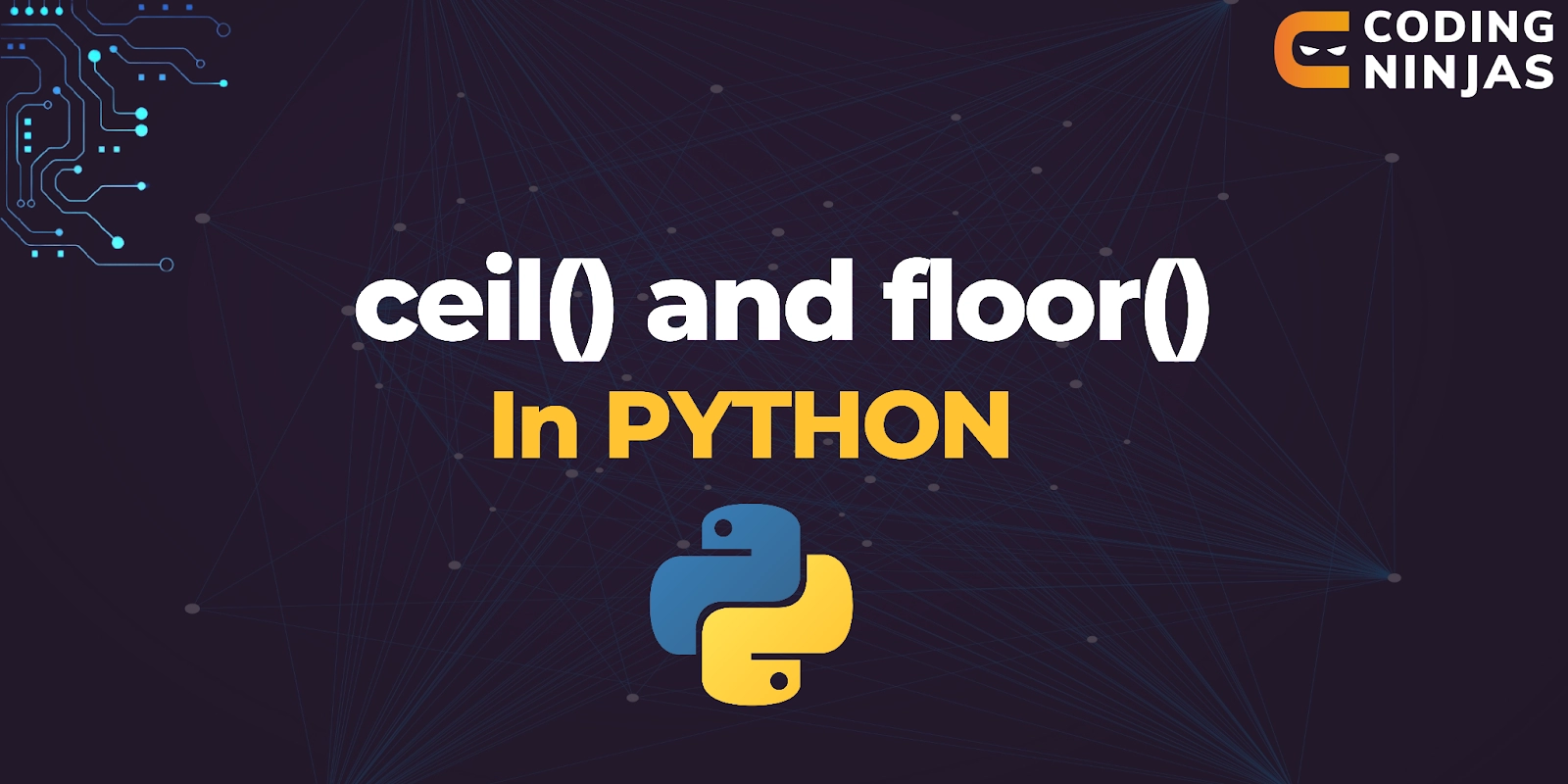 floor in python assignment expert