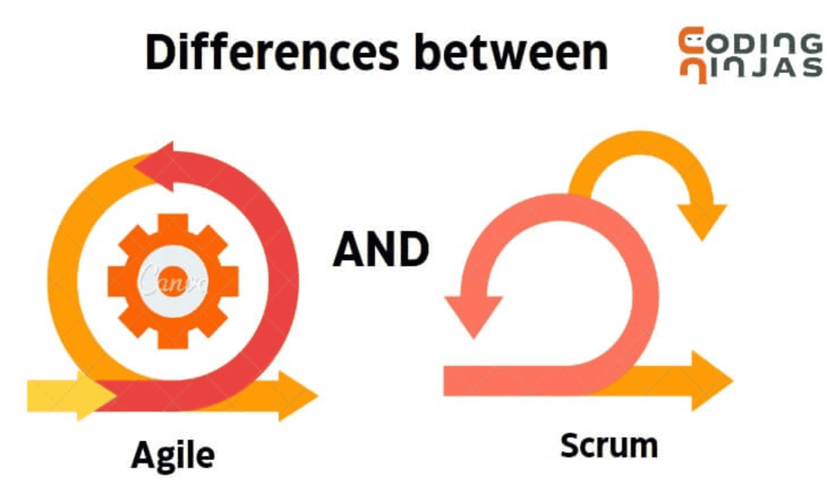 Difference Between Agile And Scrum - Coding Ninjas