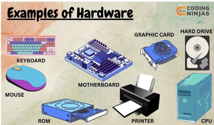 Hardware and Software difference - Coding Ninjas