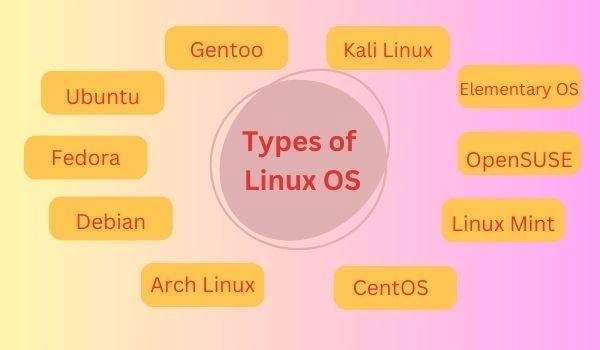 Types Of Linux OS Coding Ninjas