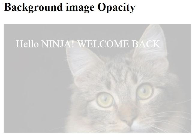 Transparent Background – Image Opacity in CSS and HTML