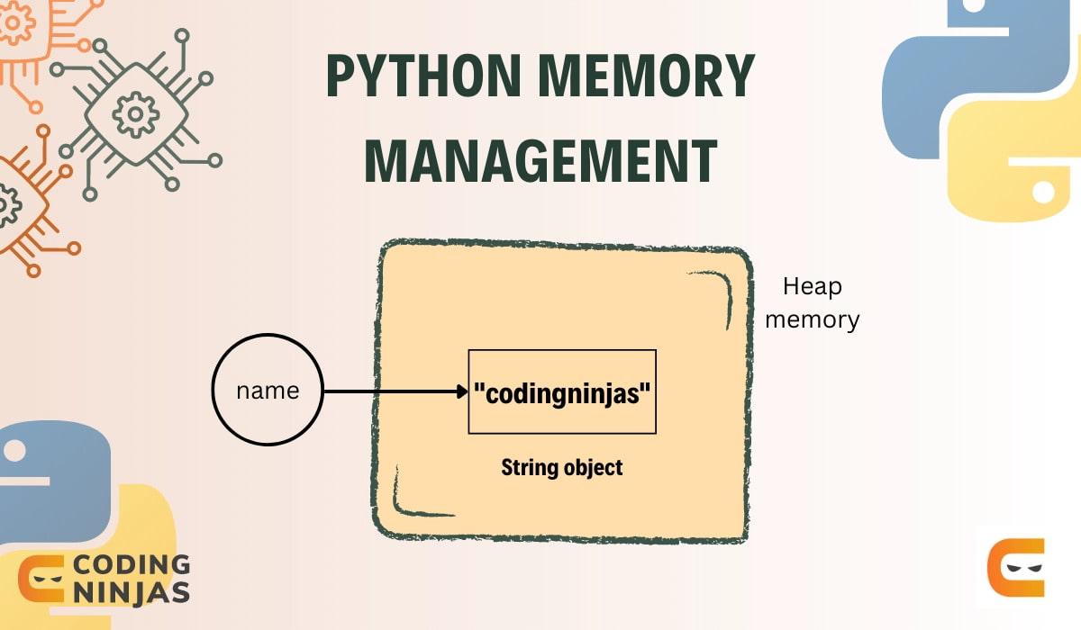 Python Memory Management - Coding Ninjas