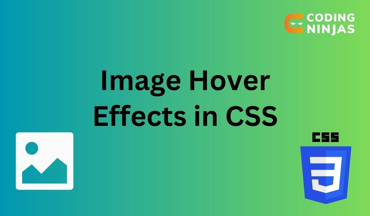 Image Hover Effects in CSS - Coding Ninjas