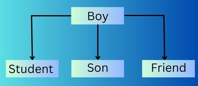 Polymorphism In Python - Coding Ninjas