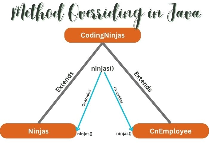 Can we Overload or Override static methods in java? - Coding Ninjas