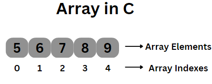 What are the Types of Array in C? - Naukri Code 360