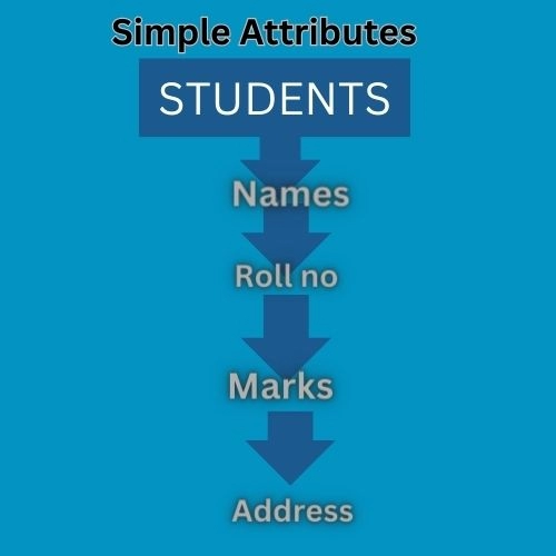 What Is An Attribute In Database Management Systems? - Naukri Code 360