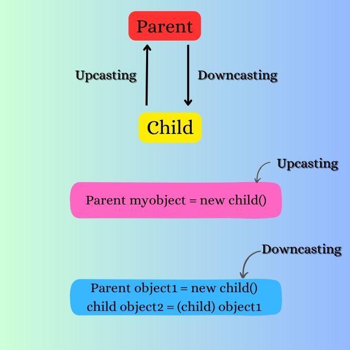 Upcasting and Downcasting in Java - Coding Ninjas