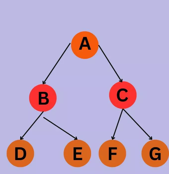 Breadth First Search In Python - Naukri Code 360