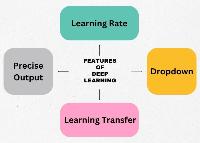 Deep Learning Vs CNN - Coding Ninjas