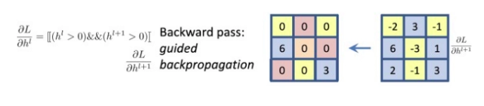 Guided Backpropagation - Coding Ninjas