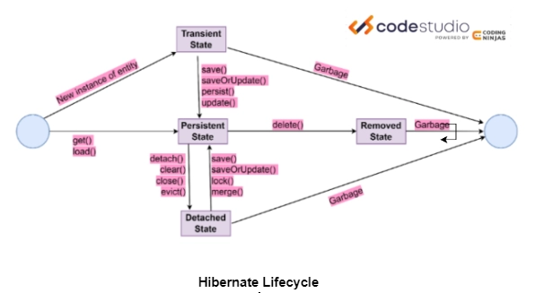 Hibernate Lifecycle - Coding Ninjas