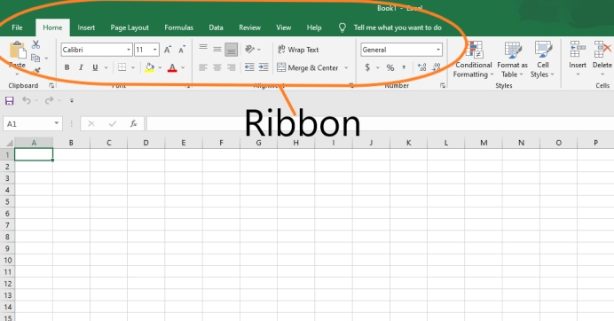 Introduction to Excel - Naukri Code 360