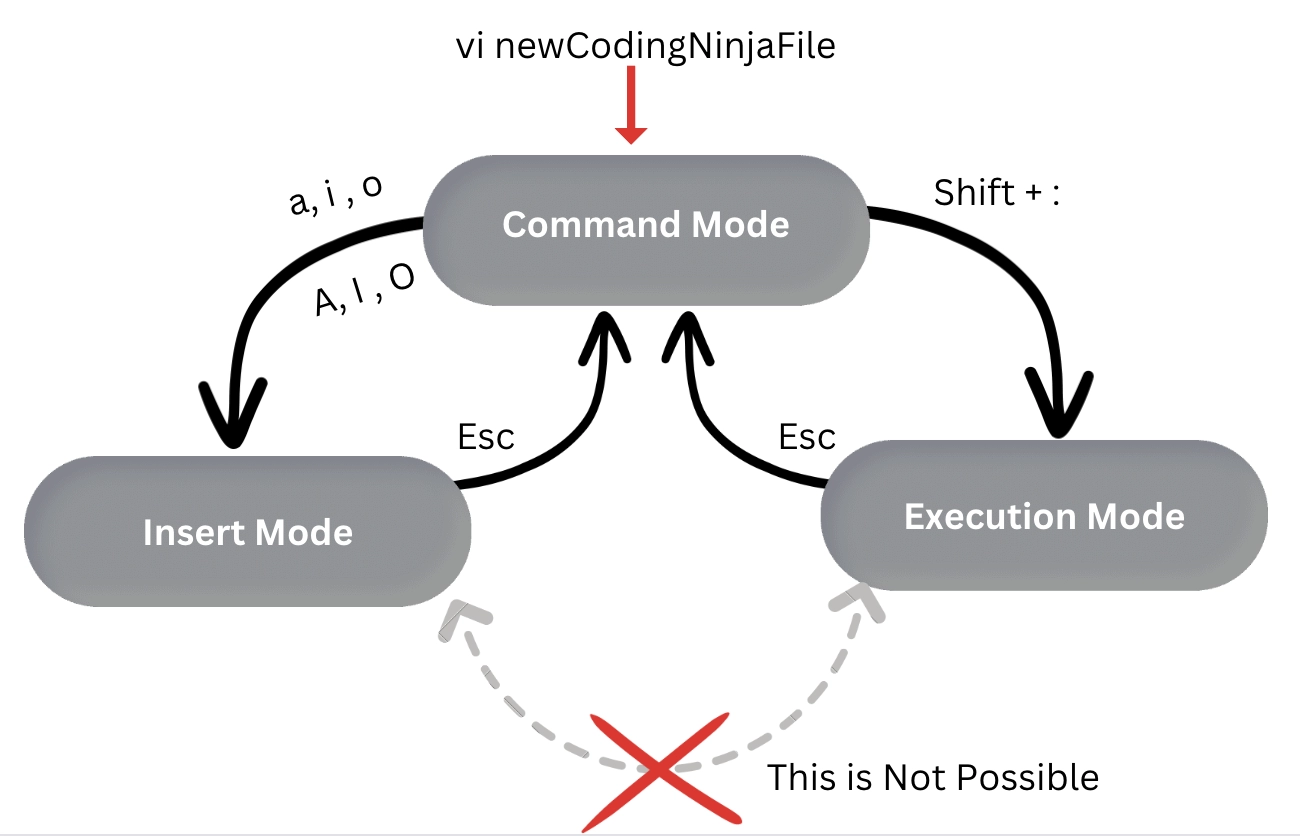 Linux Vi Editor Coding Ninjas