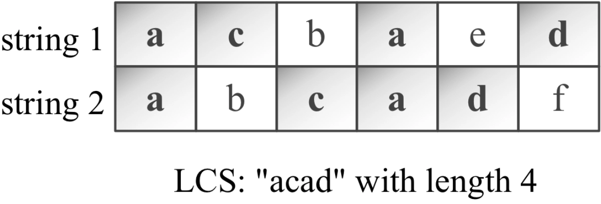 print longest common subsequence coding ninjas