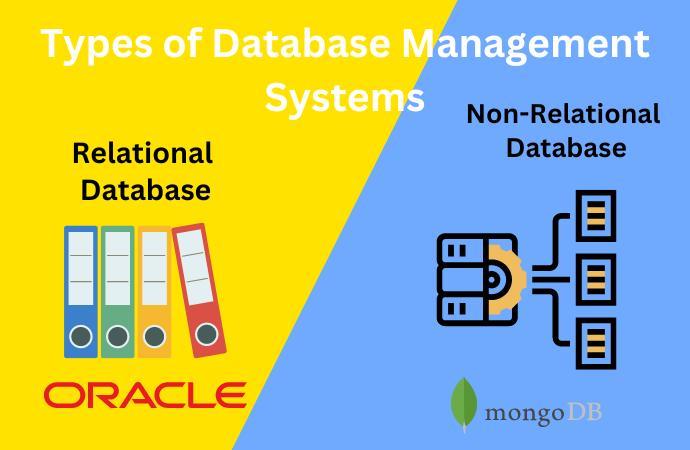 MySQL vs MS SQL - Naukri Code 360