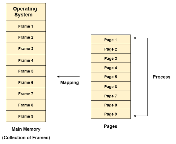 Non Contiguous Memory Allocation In OS Coding Ninjas CodeStudio