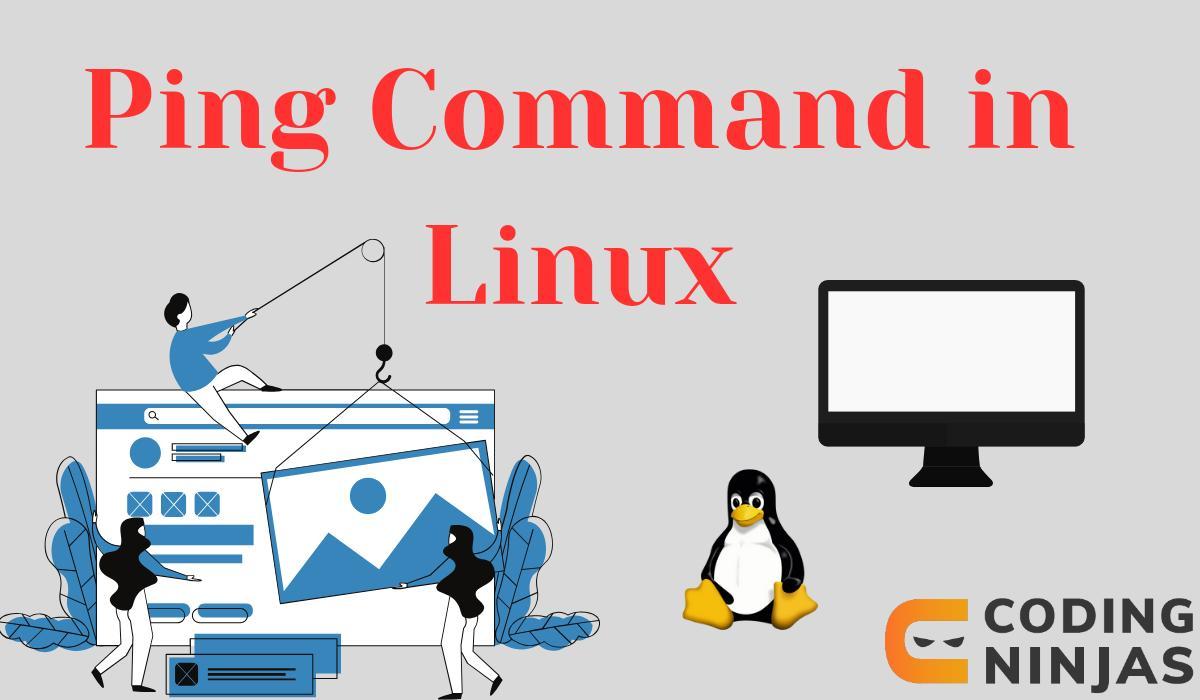 Linux ping Command - Naukri Code 360