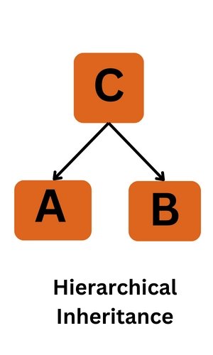 Types Of Inheritance In Python Coding Ninjas 