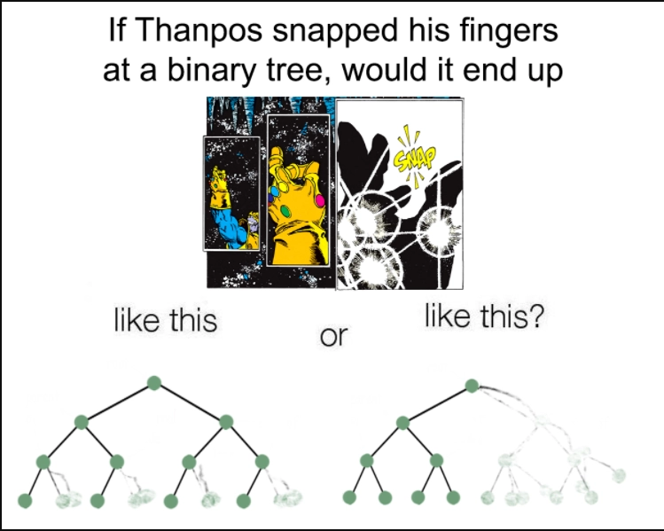 Binary Tree Skull, Programmer Tumblers