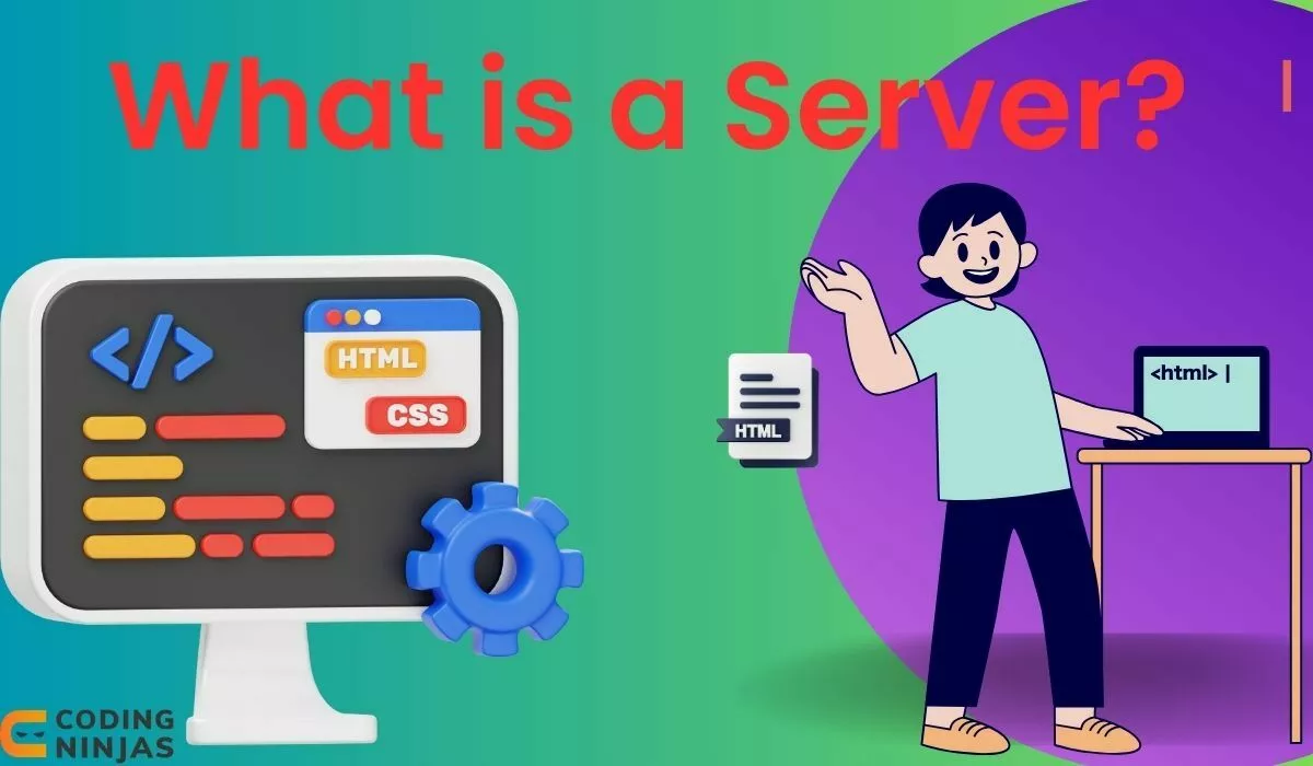 What is a Server? - Naukri Code 360