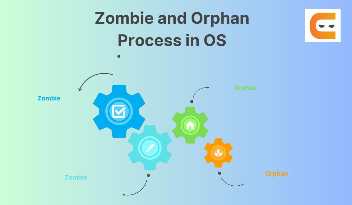 Zombie And Orphan Process In Os 0 1691349259.webp