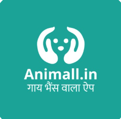 Animall