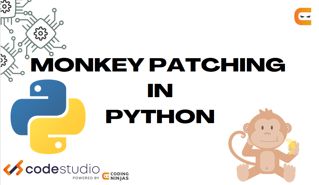 Monkey Patching In Python - Coding Ninjas